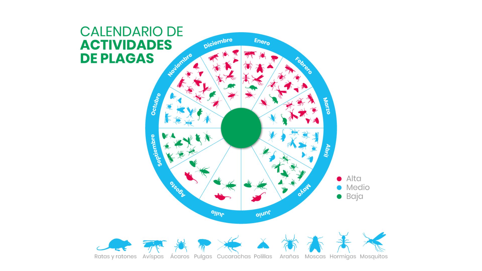 Sanidad Ambiental brinda consejos para prevenir plagas en el hogar